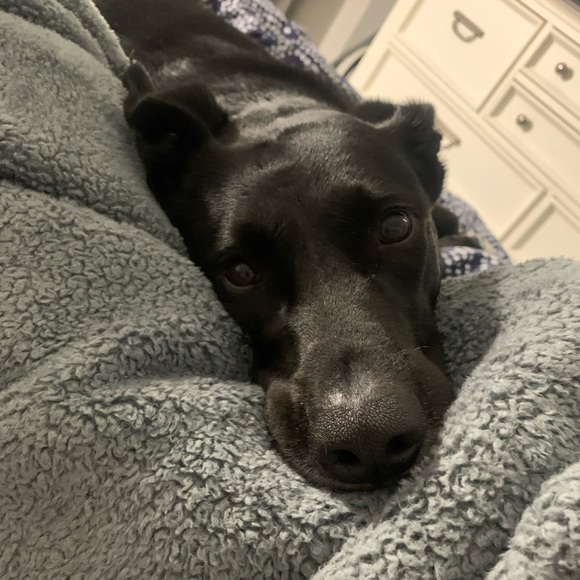 Meet your posher, Kristi! - Picture 3 of 3